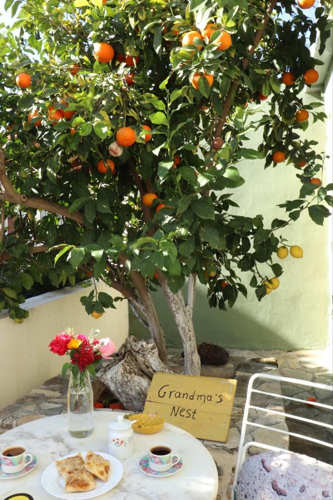 Grandma's Nest בית נופש
